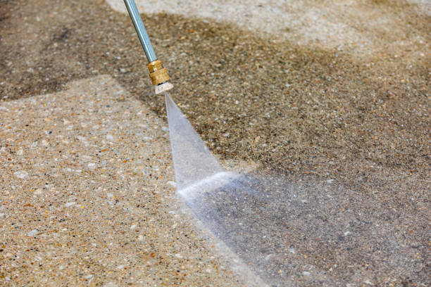Best Residential House Exterior Washing  in Palo Cedro, CA