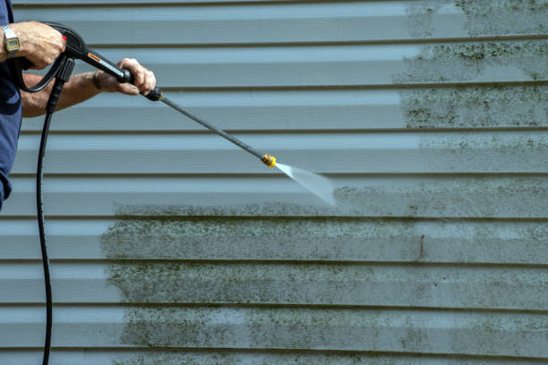 Best Driveway Pressure Washing  in Palo Cedro, CA